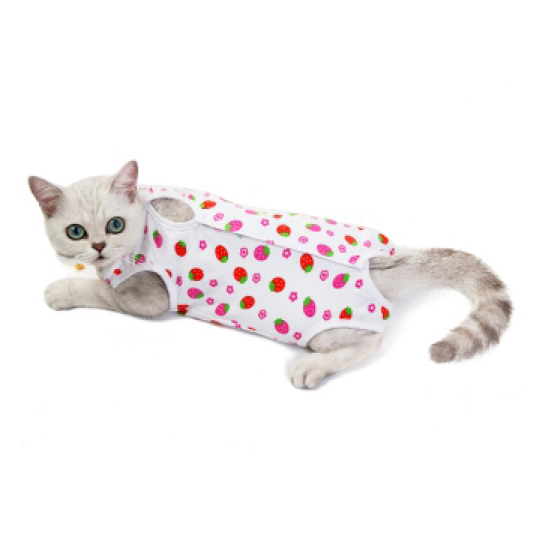 Pet Clothing JT-PE008