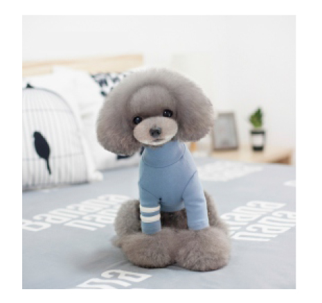 Pet Clothing JT-PE010