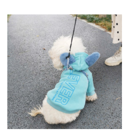 Pet Clothing JT-PE011