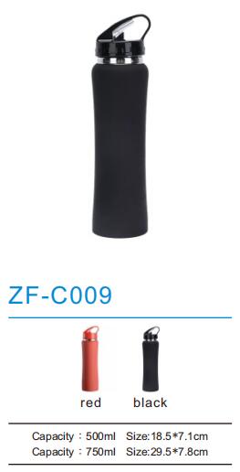 Thermos Flask ZF-C009
