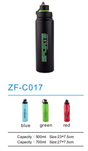 Thermos Flask ZF-C017