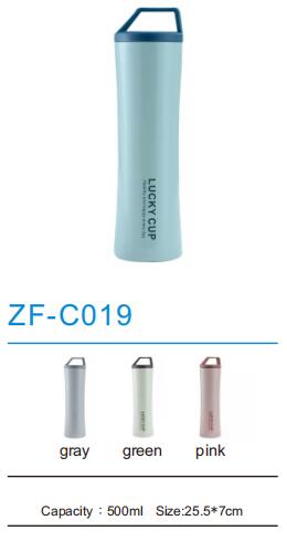 Thermos Flask ZF-C019