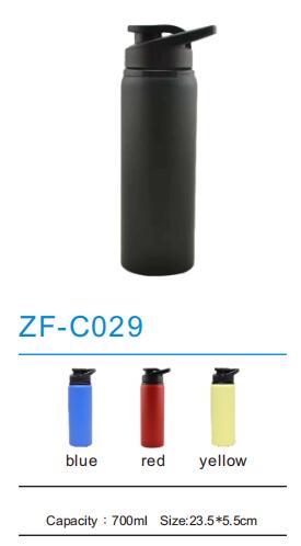 Thermos Flask ZF-C029