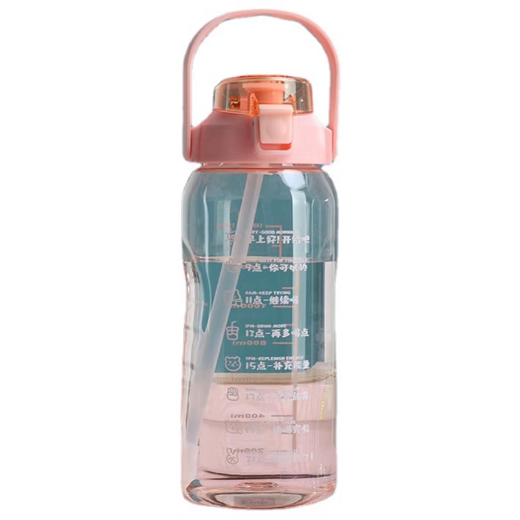 Sports Bottle ZF-A004