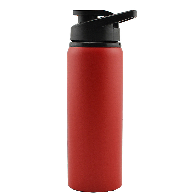 Thermos Flask ZF-C029