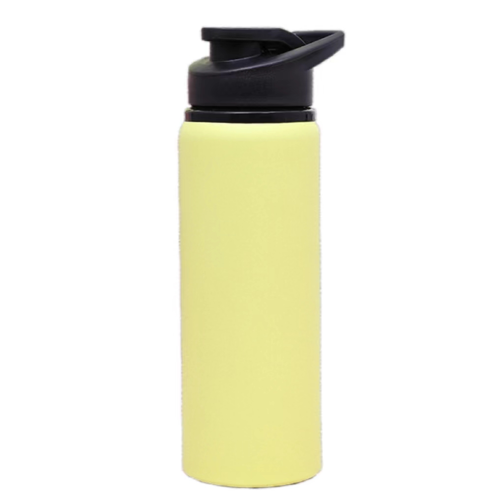 Thermos Flask ZF-C029