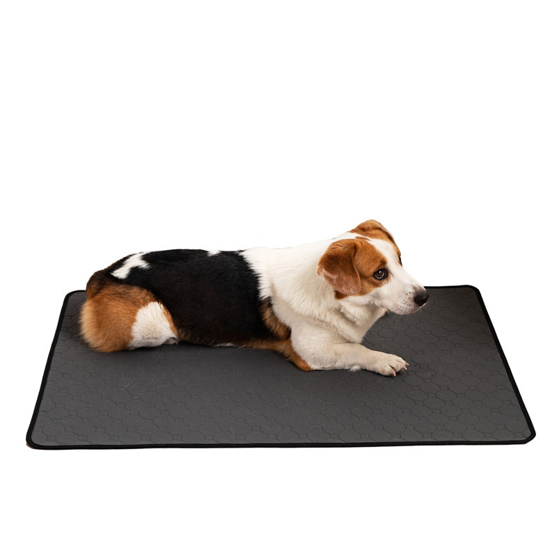 Pet Mat JT-PD006