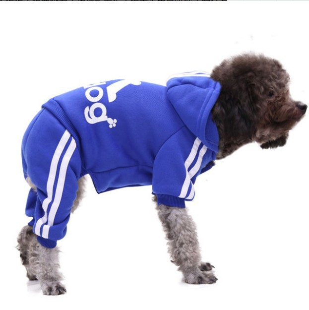 Pet Clothing JT-PE004