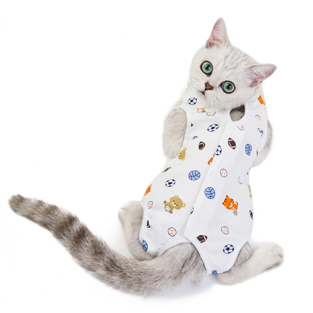 Pet Clothing JT-PE008