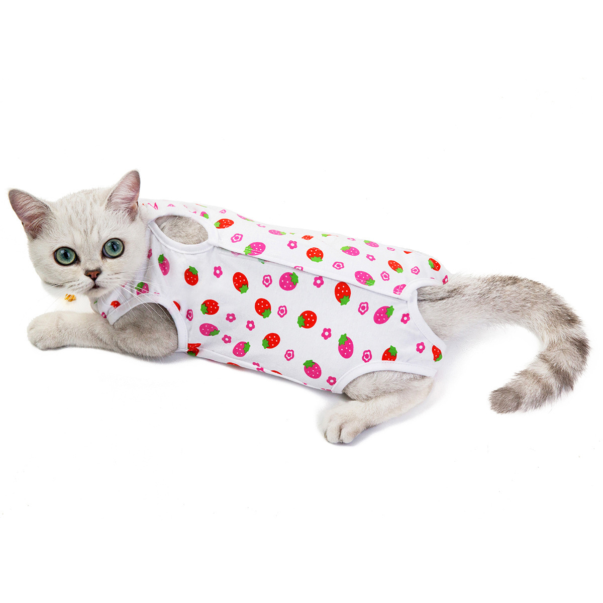 Pet Clothing JT-PE008