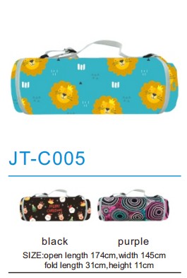 Picnic Mat JT-C005