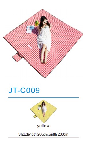 Picnic Mat JT-C009