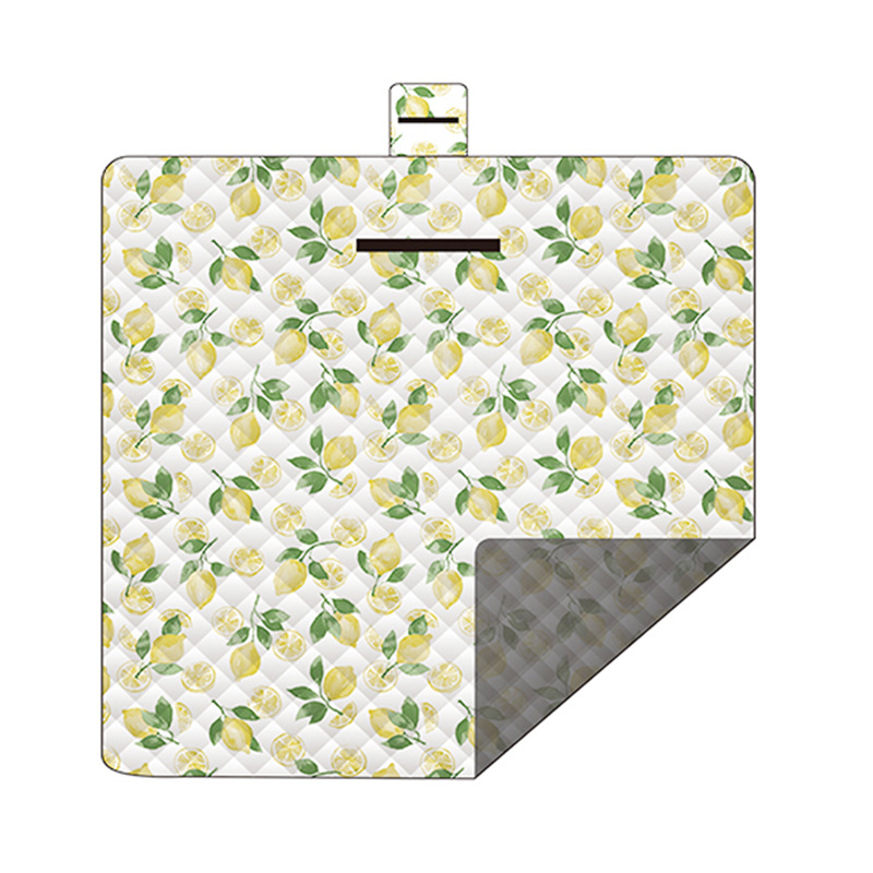 Picnic Mat JT-C003