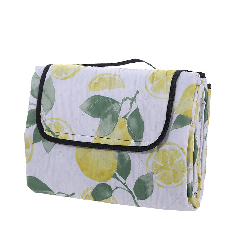 Picnic Mat JT-C003