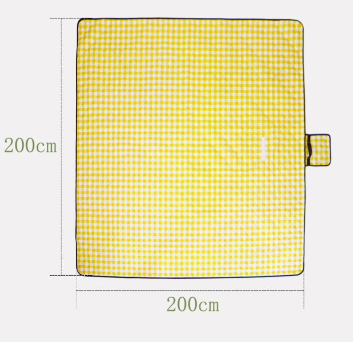 Picnic Mat JT-C009
