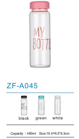 Sports Bottle ZF-A045