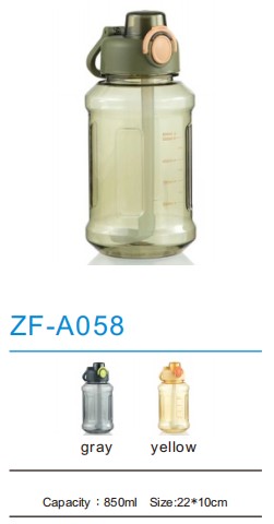 Sports Bottle ZF-A058