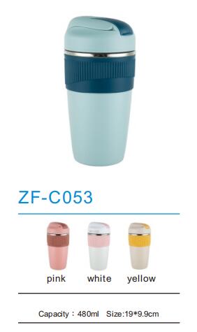 Thermos Flask ZF-C053